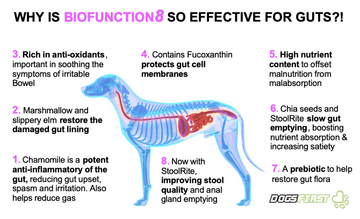 Light Gray Gut Health-                                      150G BioFunction8 for Dogs