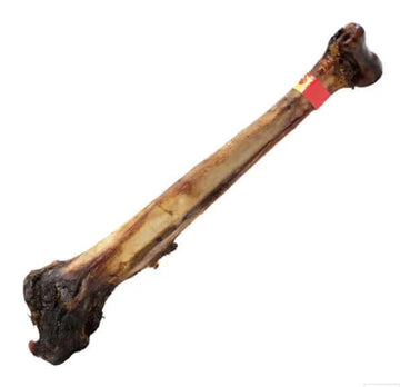 Sienna Caveman Ostrich Bone