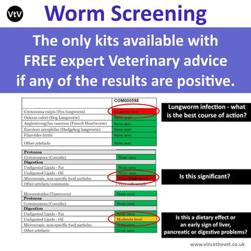 Slate Blue Lung Worm Testing Kit