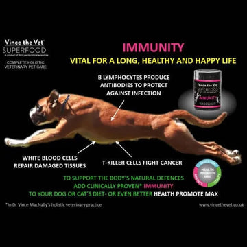 Black Vince the vet superfood immunity